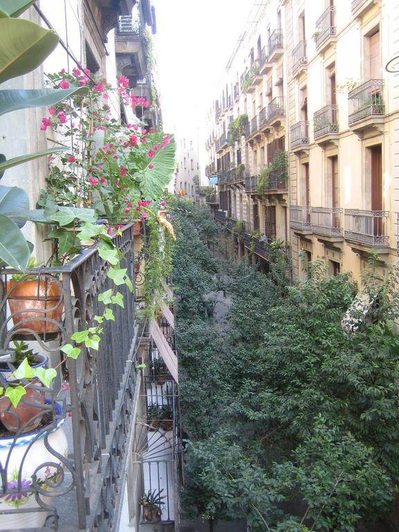 Alamar Barcellona