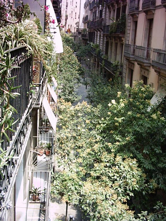 Affittacamere Alamar Barcellona